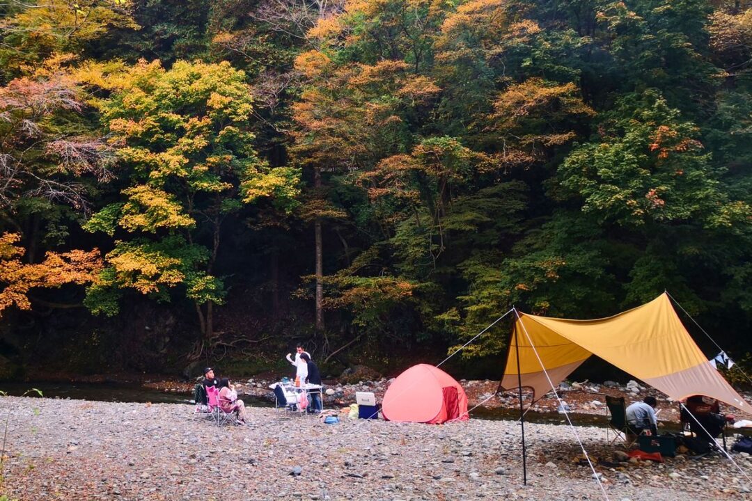 紅葉と落ち葉に囲まれた河原フリーサイト