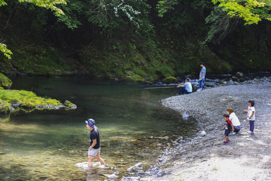 新緑の名栗川で川遊びと釣りを楽しむ家族
