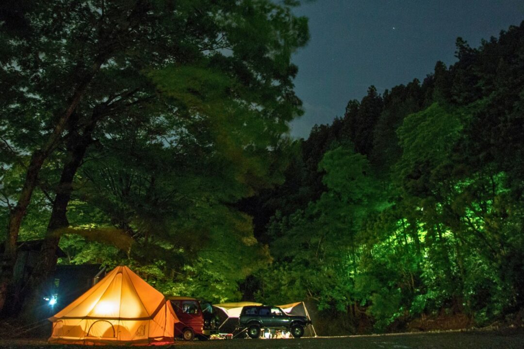 夜の森に明かりがともるベルテント