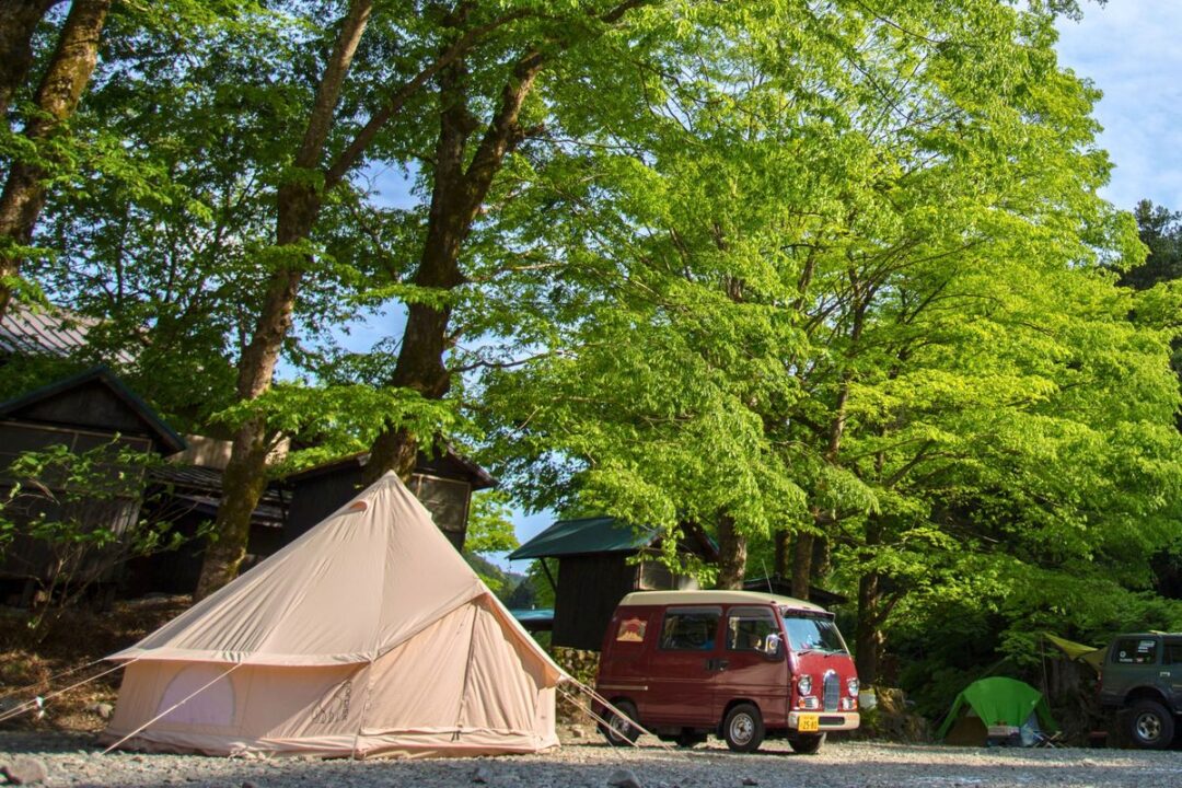 新緑の木々の下に張られたベルテント