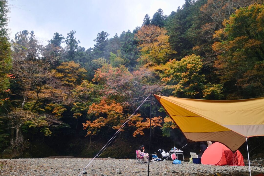 紅葉の下、名栗川の河原フリーサイトに張られたタープとテント