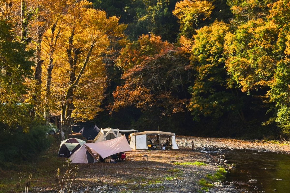 紅葉の木々の下、名栗川の河原に並ぶテント