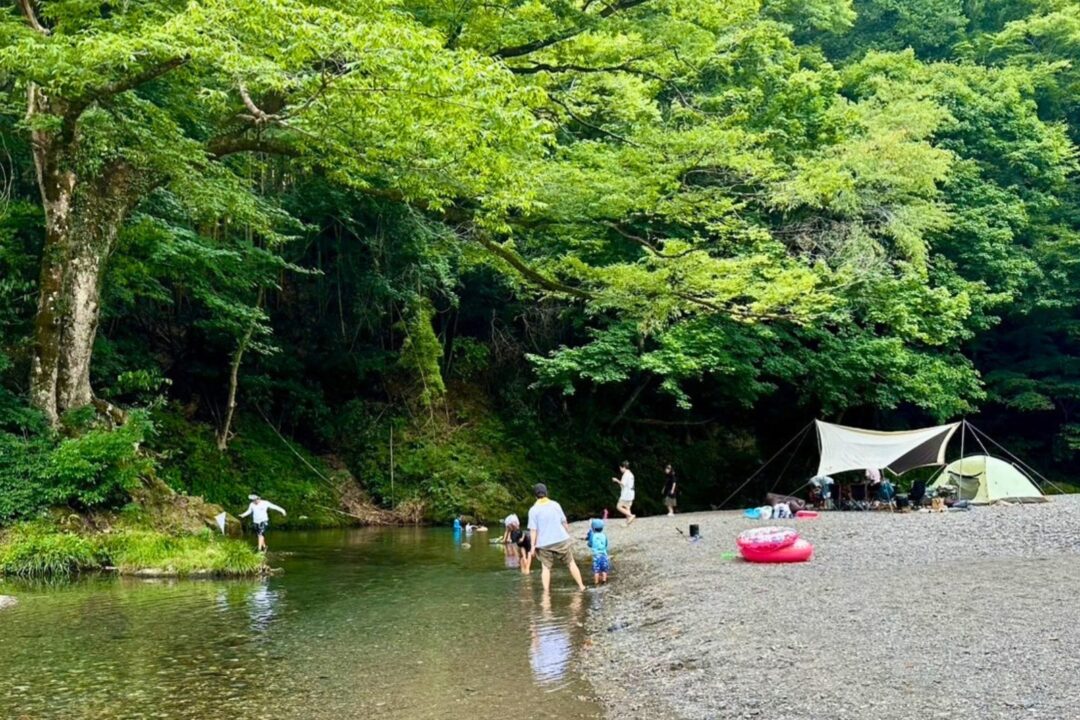 新緑の名栗川で川遊びをする家族